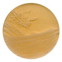 Tryptic Soy Agar With Polysorbate 80 And Lecithin 107324